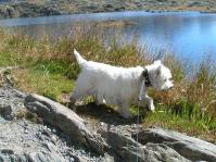 Klik op de foto voor groter formaat